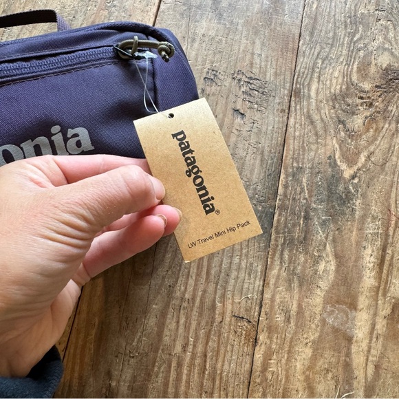 NWT PATAGONIA LW TRAVEL MINI HIP PACK - Picture 2 of 6